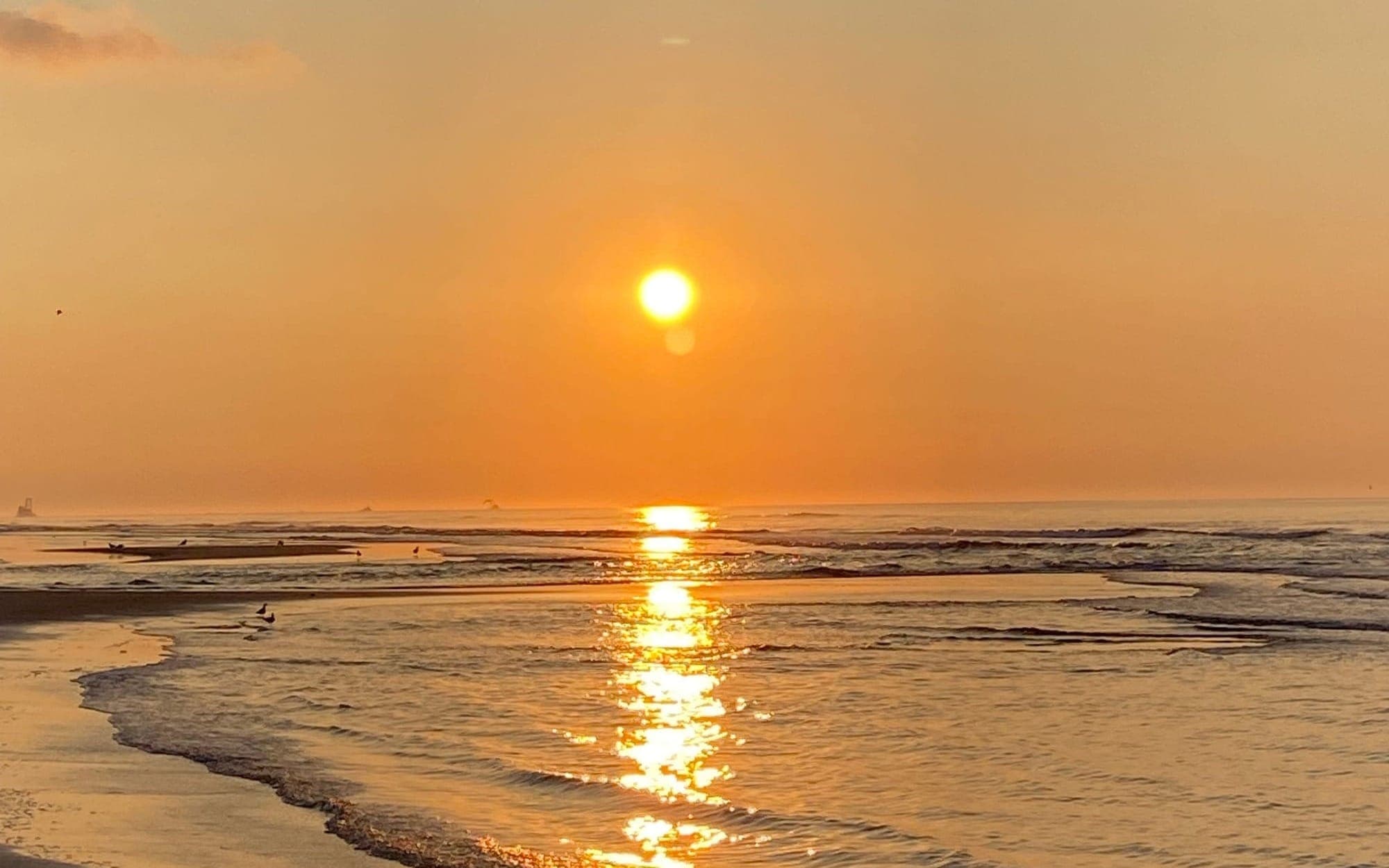 Summer Days: Generational Health