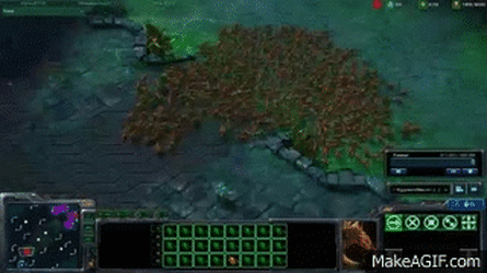 Issue #1247: An IRS Zerg Rush could be on the way