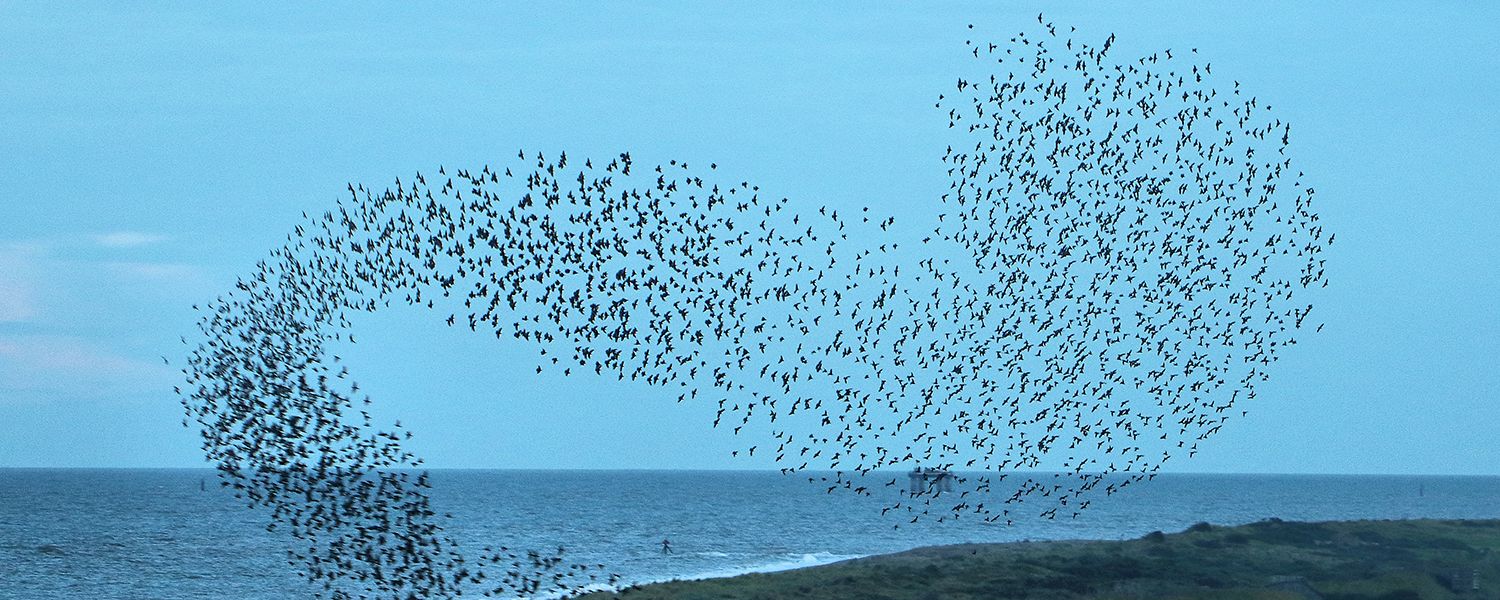 Issue #1279: Society's problem is a simple one