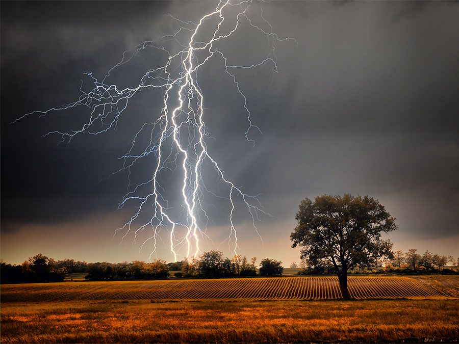 Issue #667: Lightning Channel Breakdown