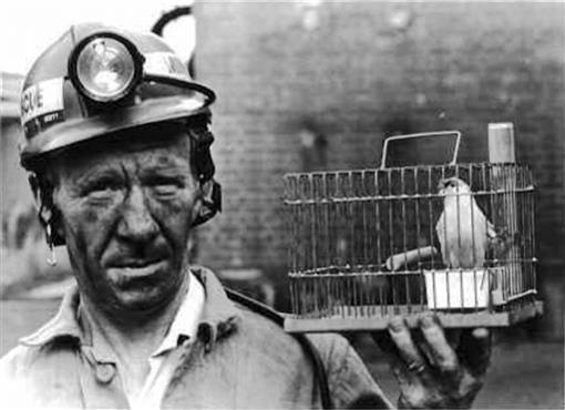 Issue #1070: A canary in the coal mine out of China?
