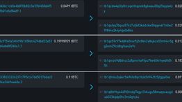 Issue #884: A CoinSwap on testnet