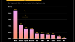Issue #1218: Bitcoin awareness is very high. Better education is needed.