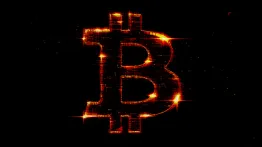 Issue #697: Bitcoin waits in the brush