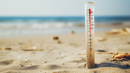 Cooking the Climate Books: Temperature Data Homogenization