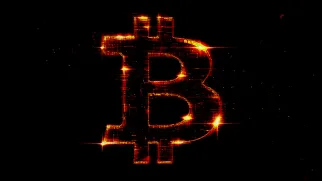 Issue #697: Bitcoin waits in the brush