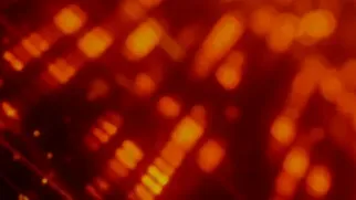 Issue #445: Android Bitcoin Core