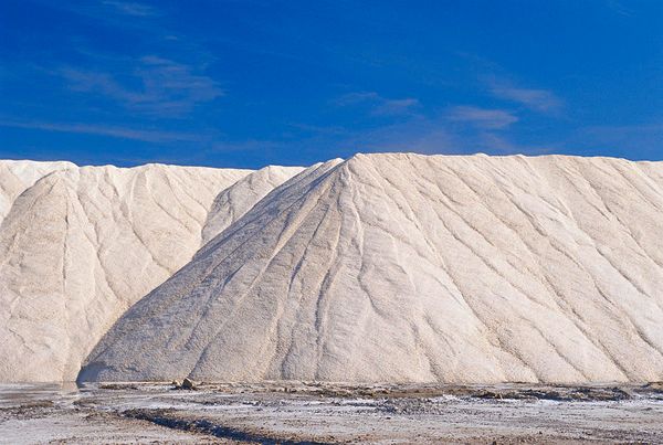 Issue #879: Nocoiner salt on the rise