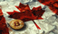 Canada Set to Implement International 'Crypto-Asset Reporting Framework' by 2026
