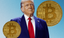 What Does a Trump Win Mean for the Bitcoin Community: Implications and Insights